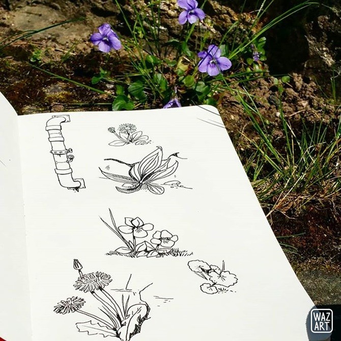 Dessin d'observation dans le jardin de mes parents... plutôt contente du résultat !